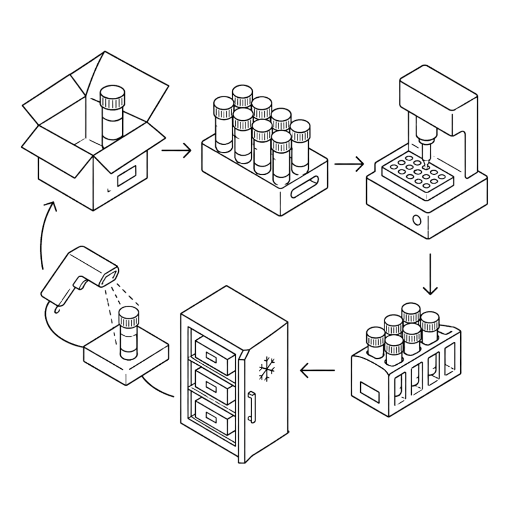 Laboratory furniture and fixtures illustration